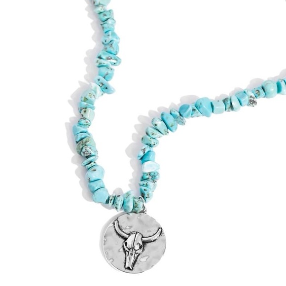 Jewelry - Turquoise Longhorn Necklace